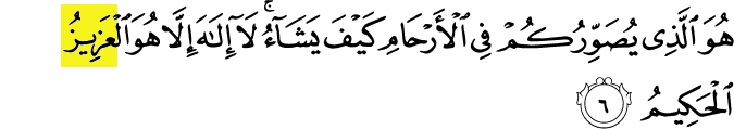 99 Names of Allah - Al-Aziz - The Exalted in Might. Surat Ali 'Imran verse 6